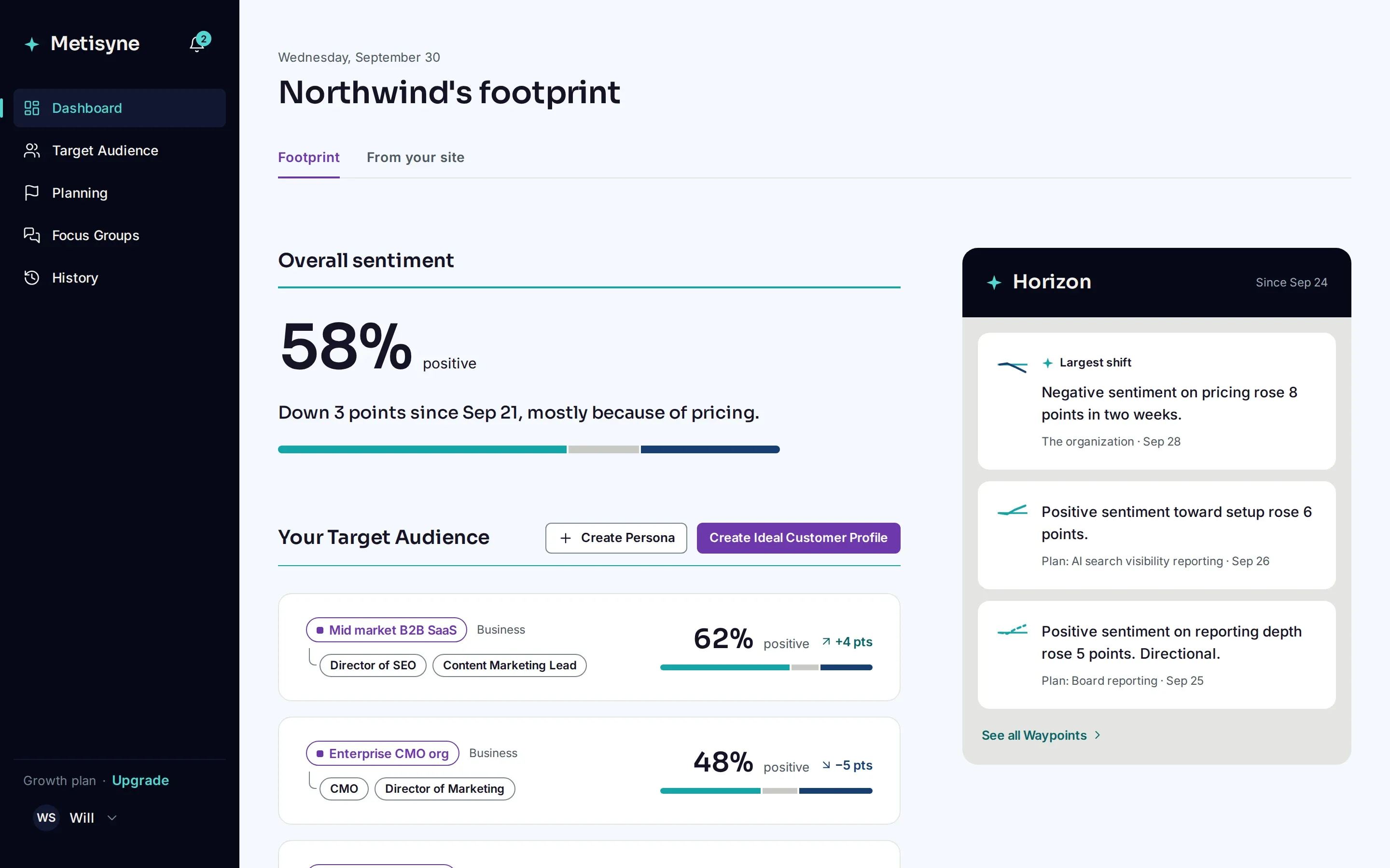 The Metisyne Dashboard showing Northwind's footprint: overall sentiment and its reason, each Ideal Customer Profile's sentiment, and the Horizon panel with the largest shift.